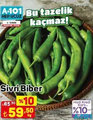 SİVRİ BİBER KG fiyat ve kampanya bilgisi